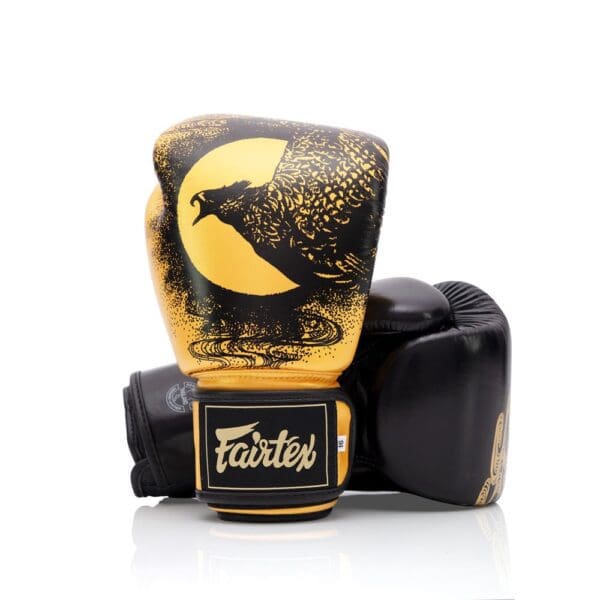 Fairtex BGV26 "Harmony Six" Boxing Gloves - Image 3